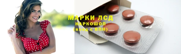 индика Армянск