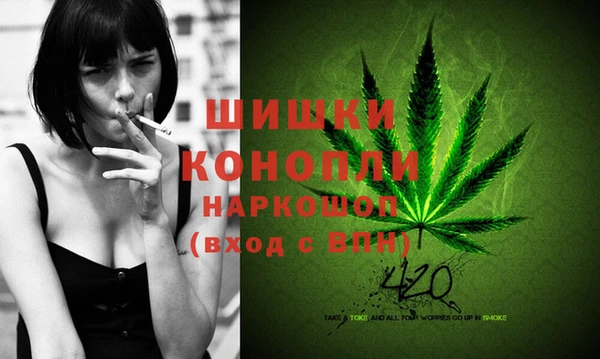 PSILOCYBIN Аркадак