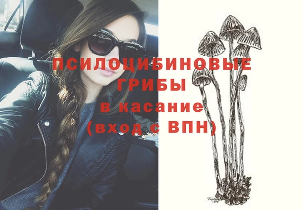 крисы Алексин