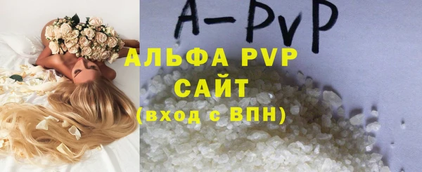 крисы Алексин