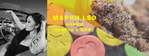PSILOCYBIN Аркадак