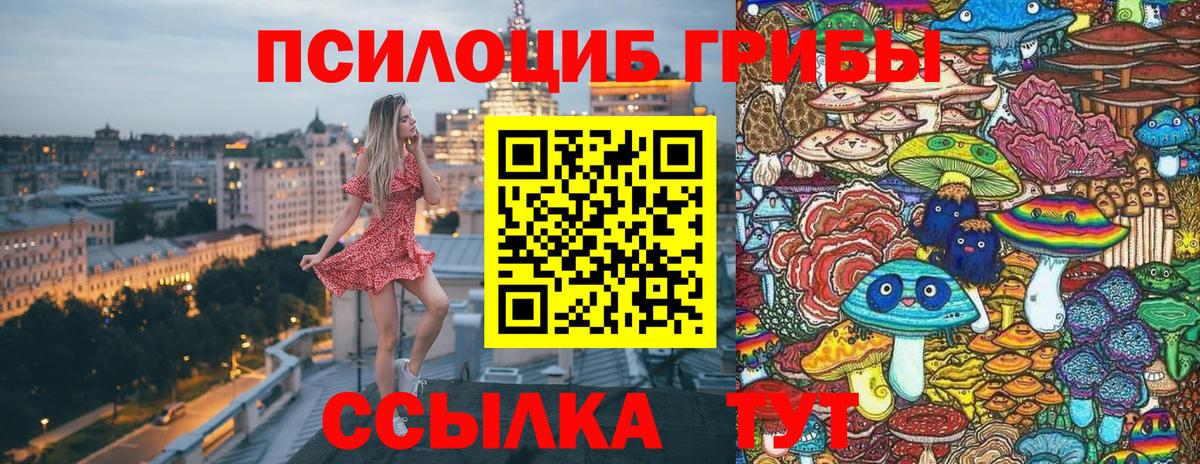 Псилоцибиновые грибы GOLDEN TEACHER Губкин