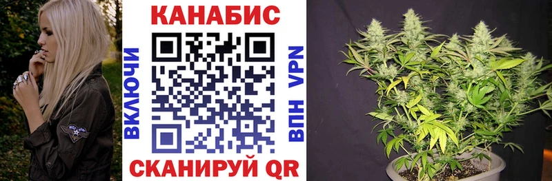 MEGA tor  Губкин  МАРИХУАНА план 
